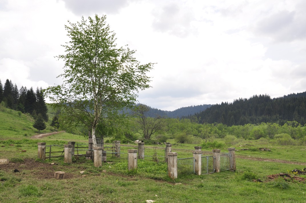 nacelnik_u_okruglici