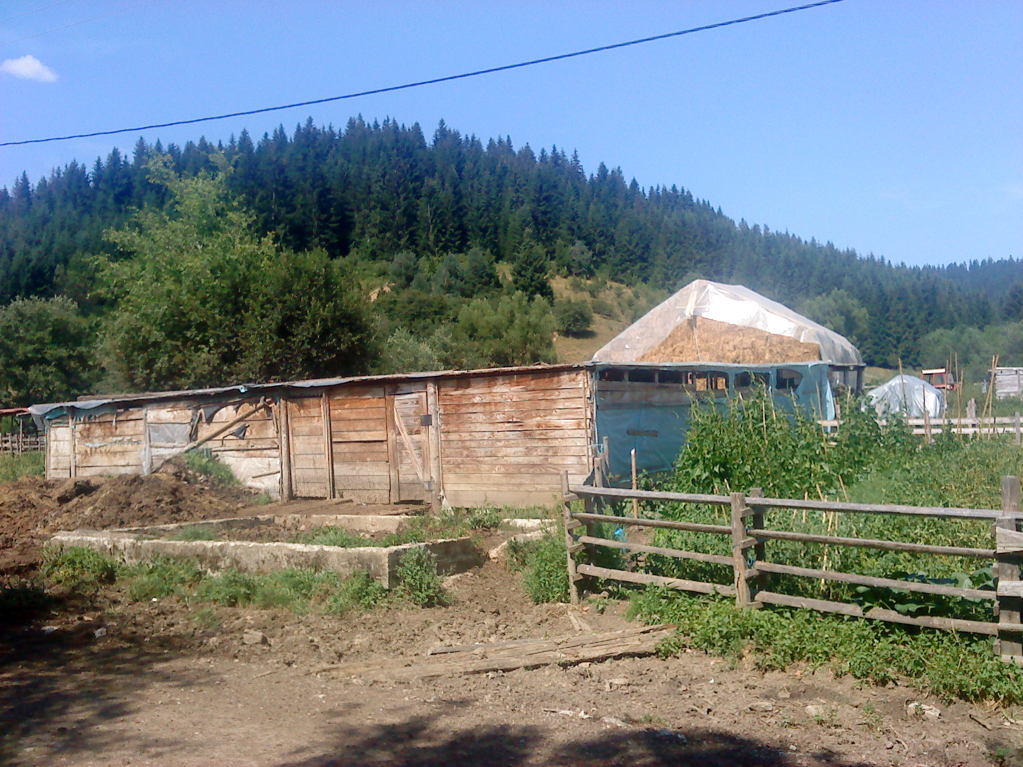 Okruglica