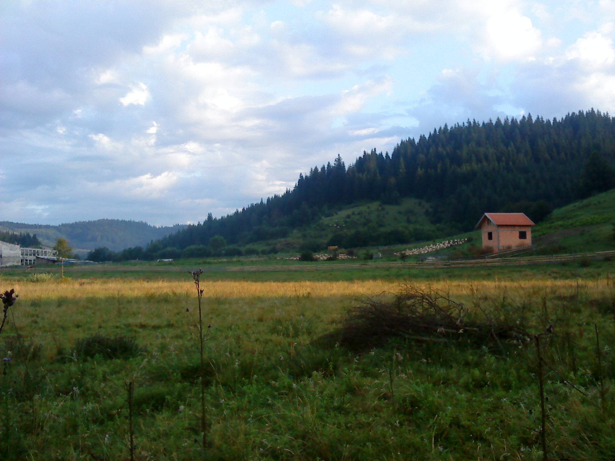 Okruglica