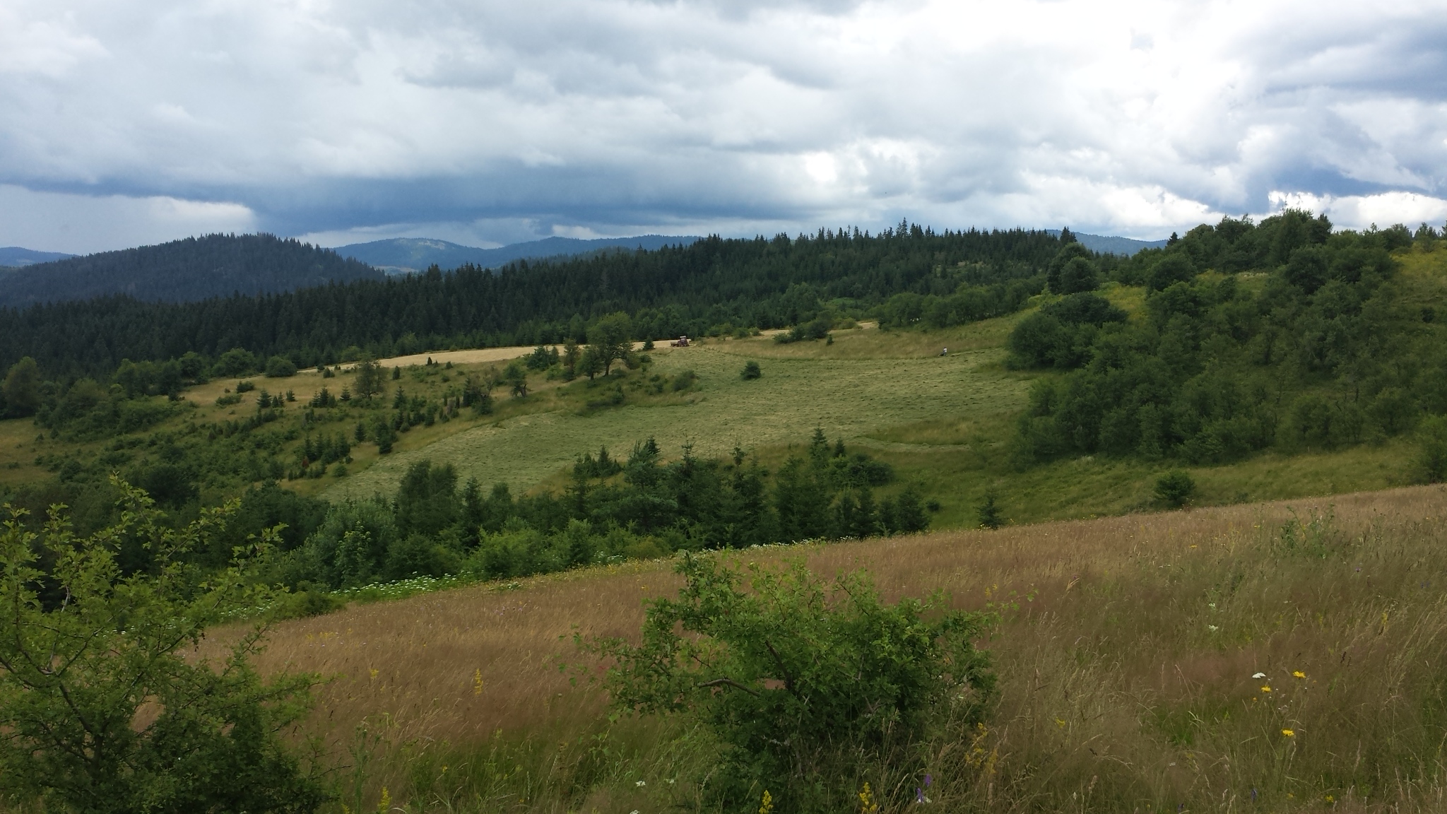 Okruglica