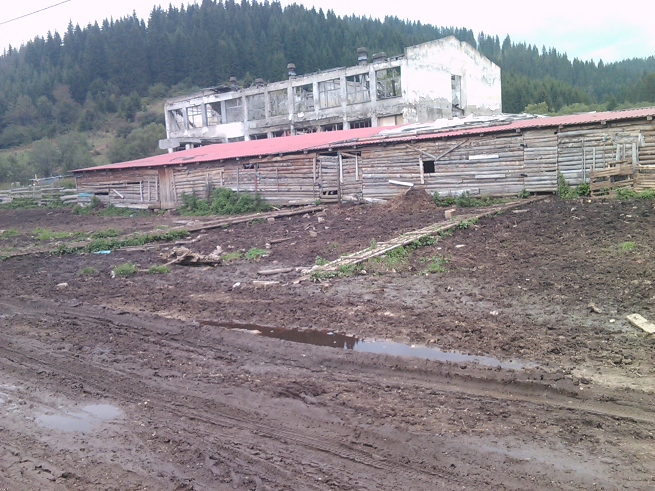 Okruglica