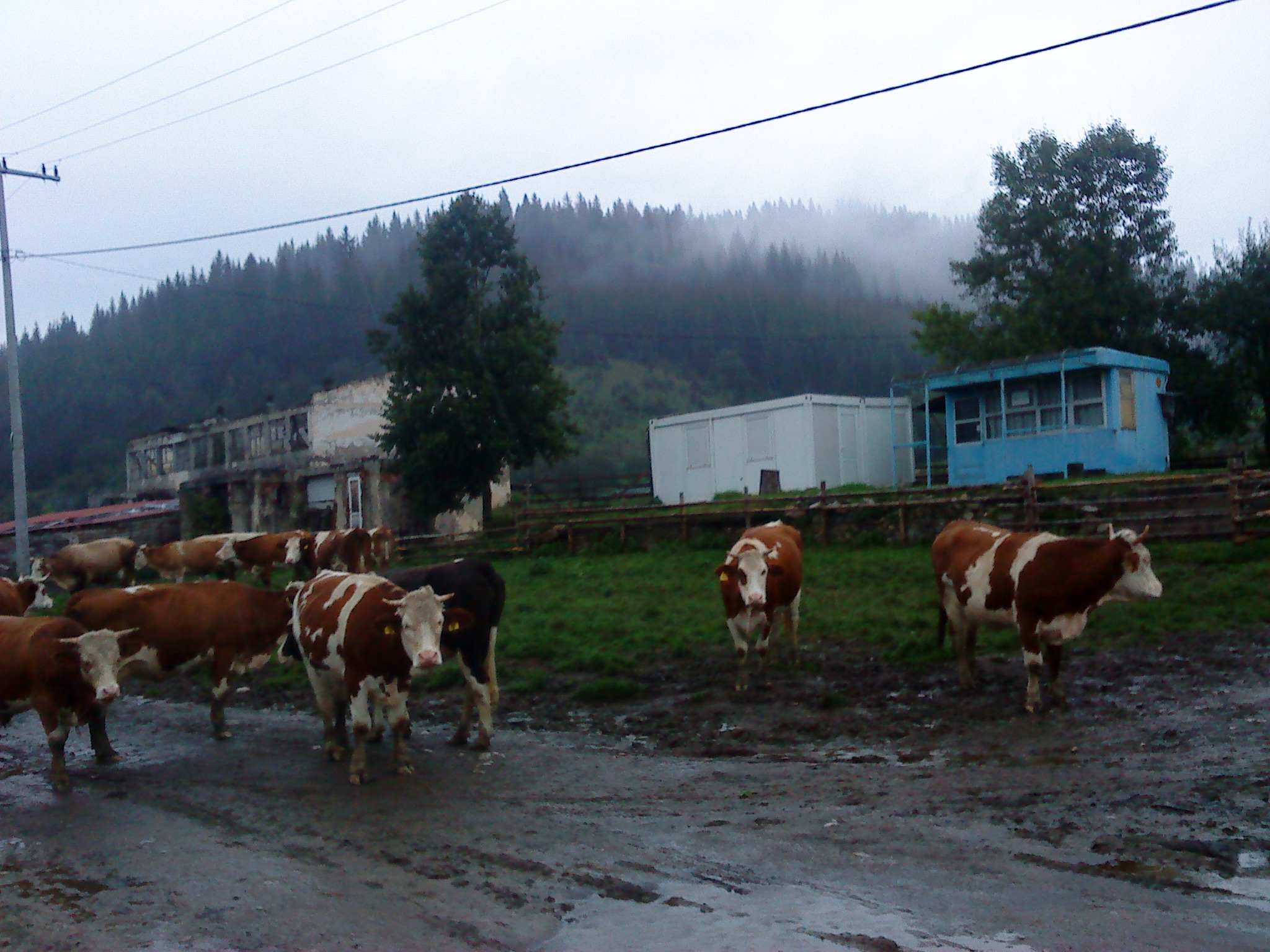 Okruglica