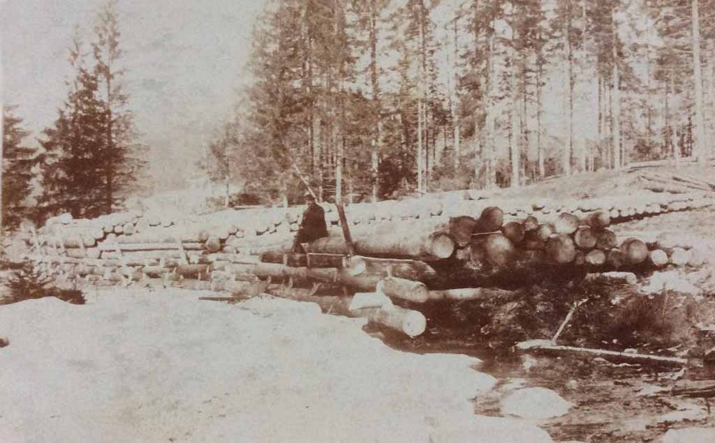Okrugličke pruge